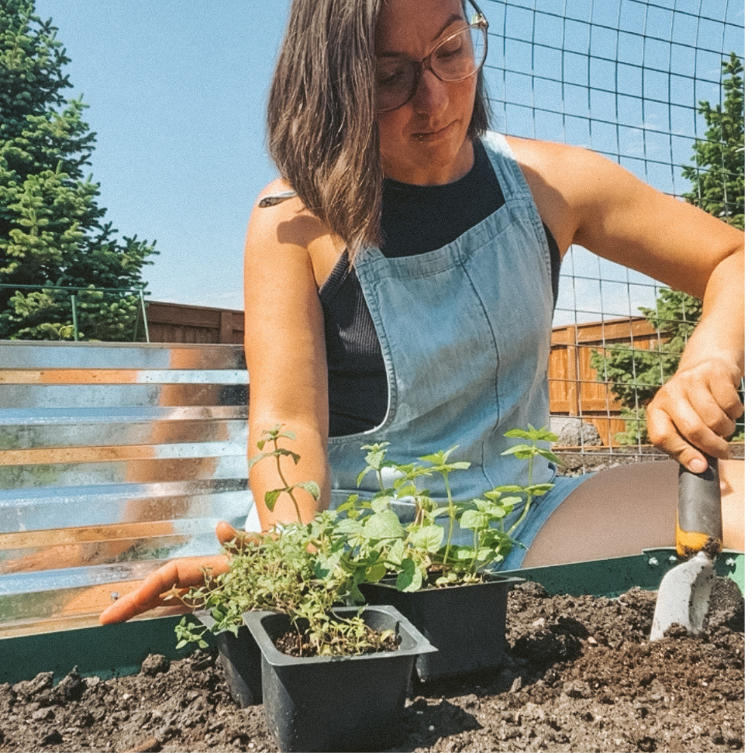 DIY Mini herb garden Part 2 🌱