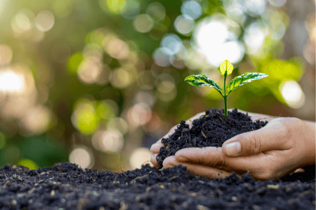 Ways to Celebrate Earth Day