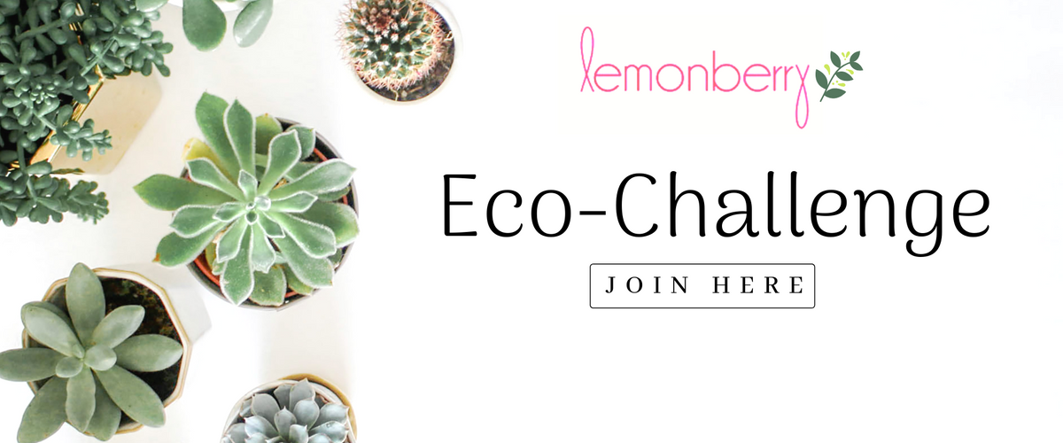 Eco Challenge