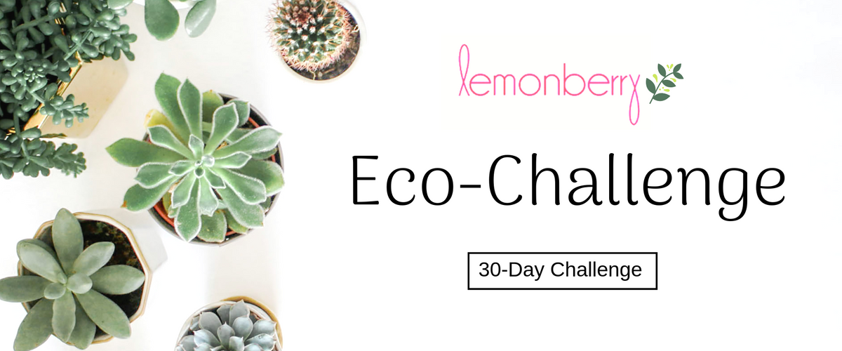 Eco Challenge