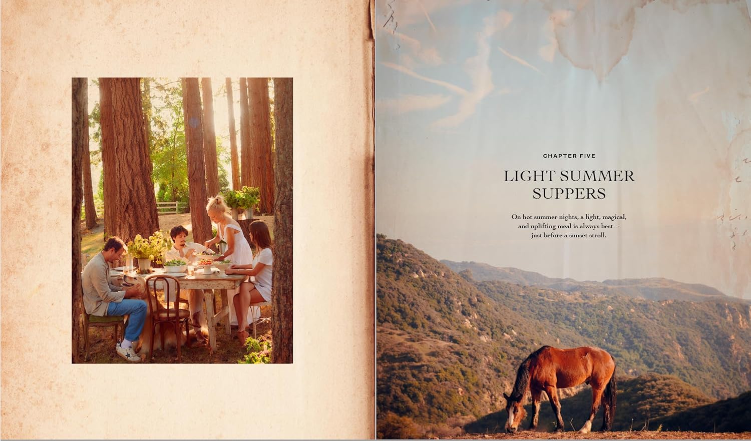 Open spread from Love, Pamela cookbook with Pamela’s family enjoying an outdoor meal on the left and the Chapter 5 title page on the right.