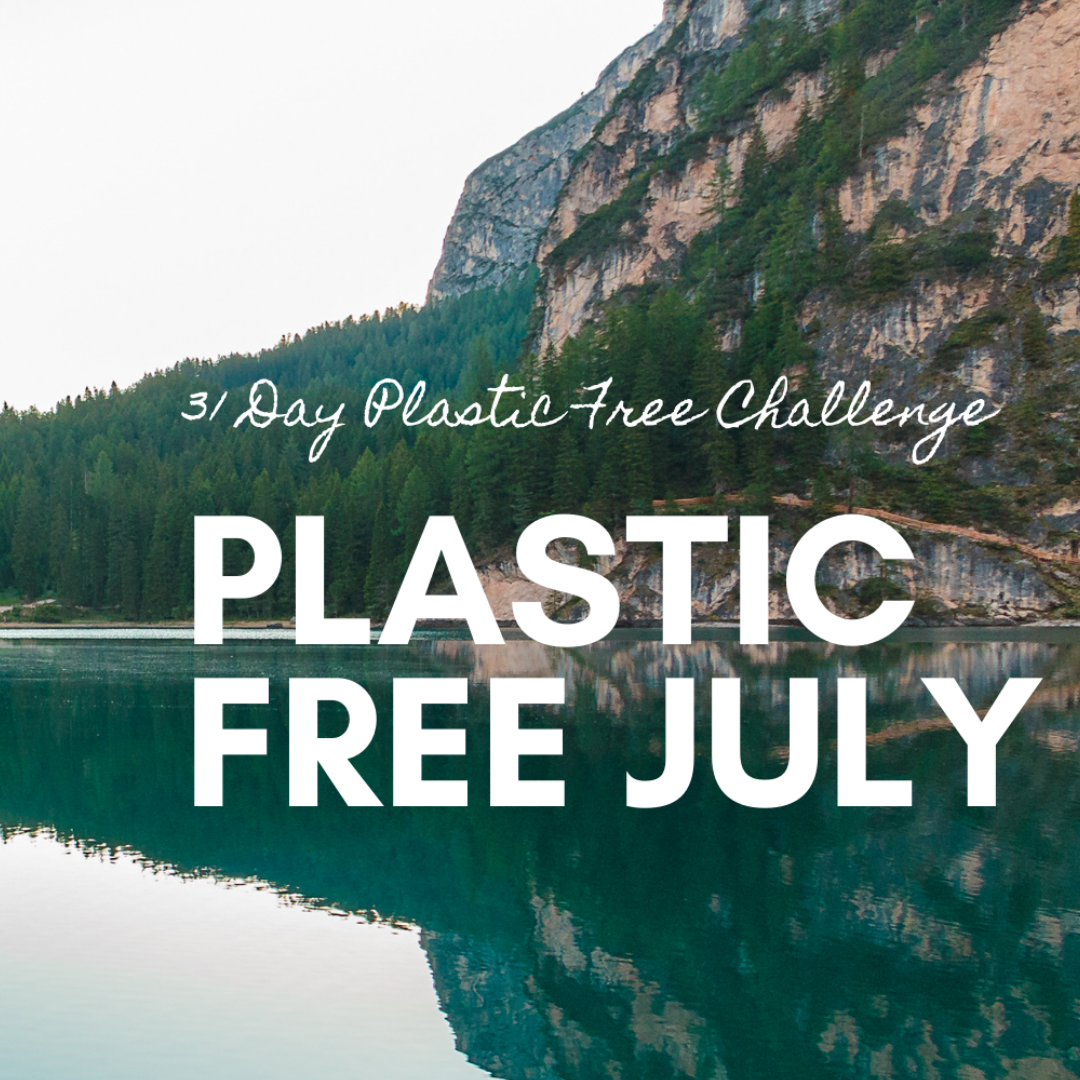 10 Ways to be Plastic Free