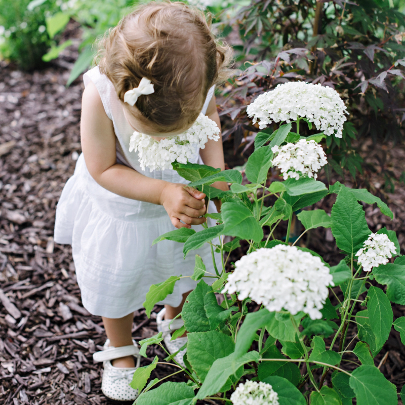 3 Top Tips for Gardening This Spring
