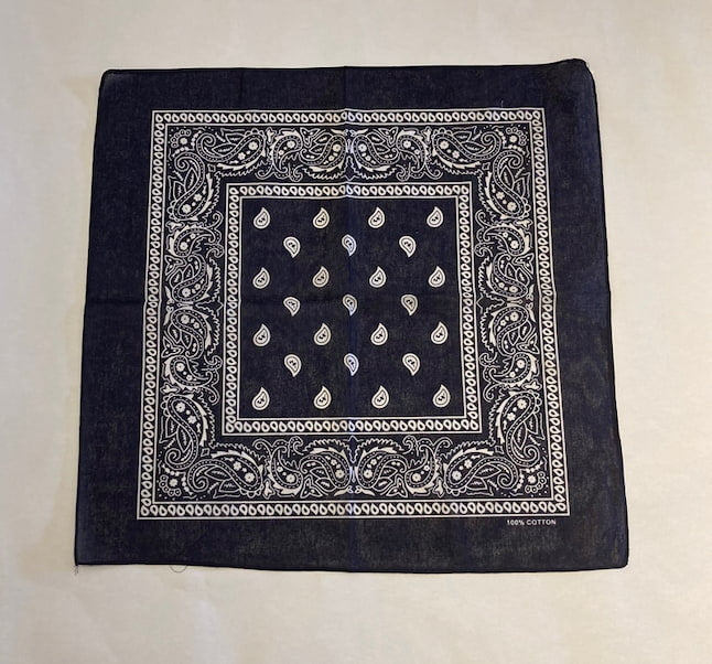 Bandana cotton paisley scarf flat-lay view Lemonberry Aurora
