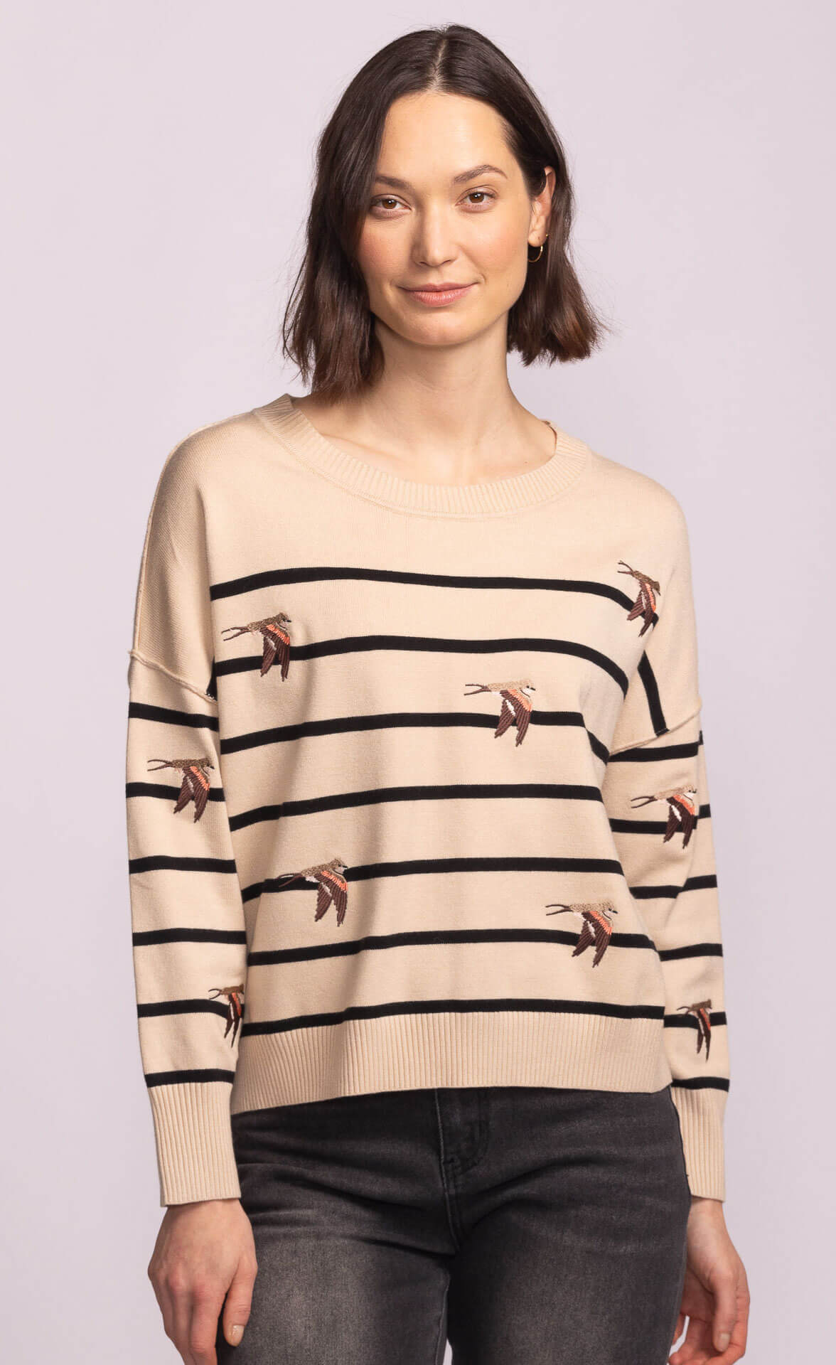 Front view of Cruz Sweater featuring embroidered swallows on beige and black stripes, styled with dark denim.