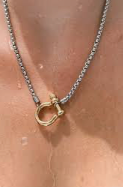 Hoopla Carabiner Horse Bit Stainless Steel Wheat Chain Necklace