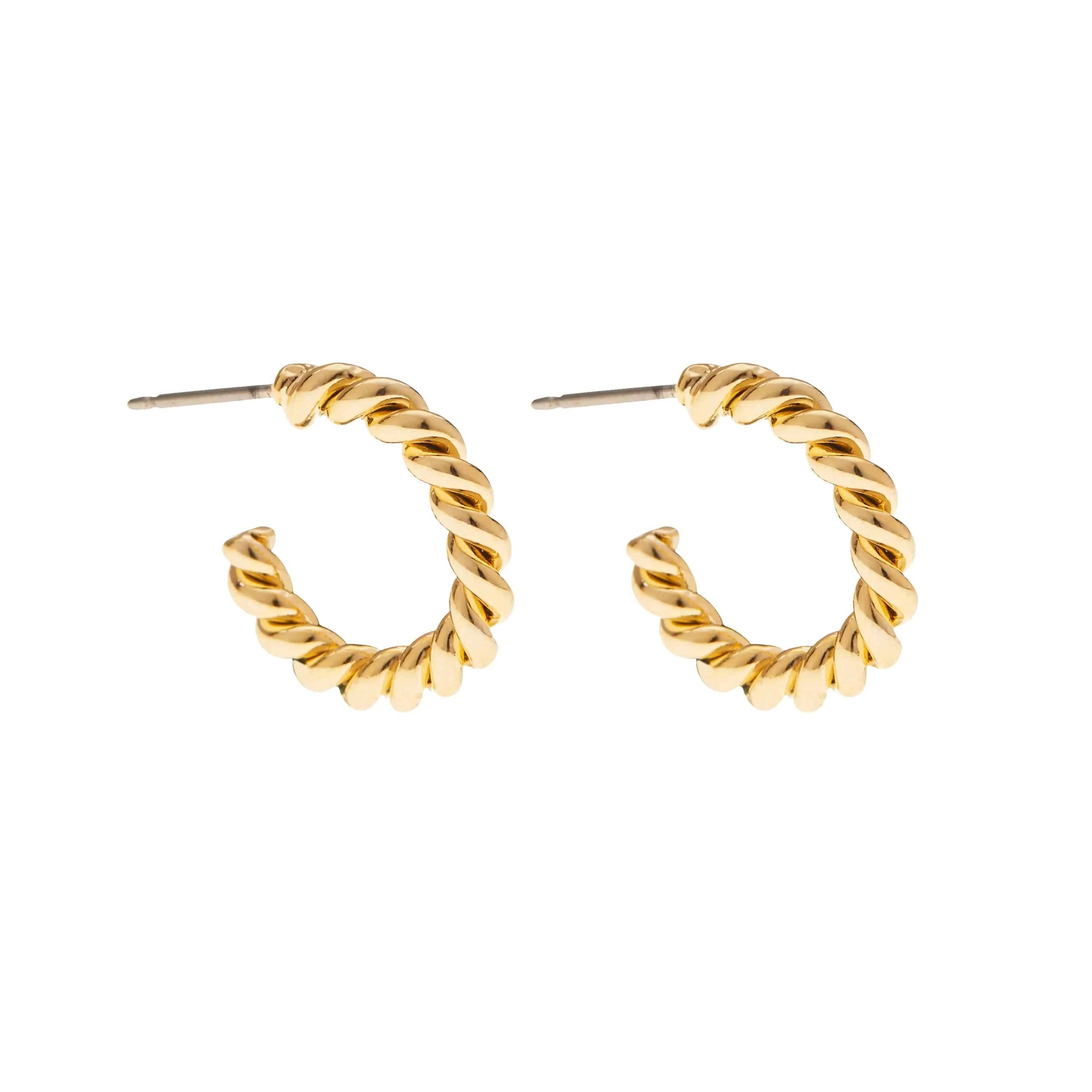 Petit Twisted Hoop - Lemonberry.ca