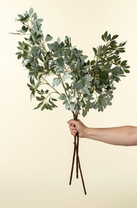 Hand holding a faux olive leaf branch showing natural scale and flexible stems, Lemonberry Aurora