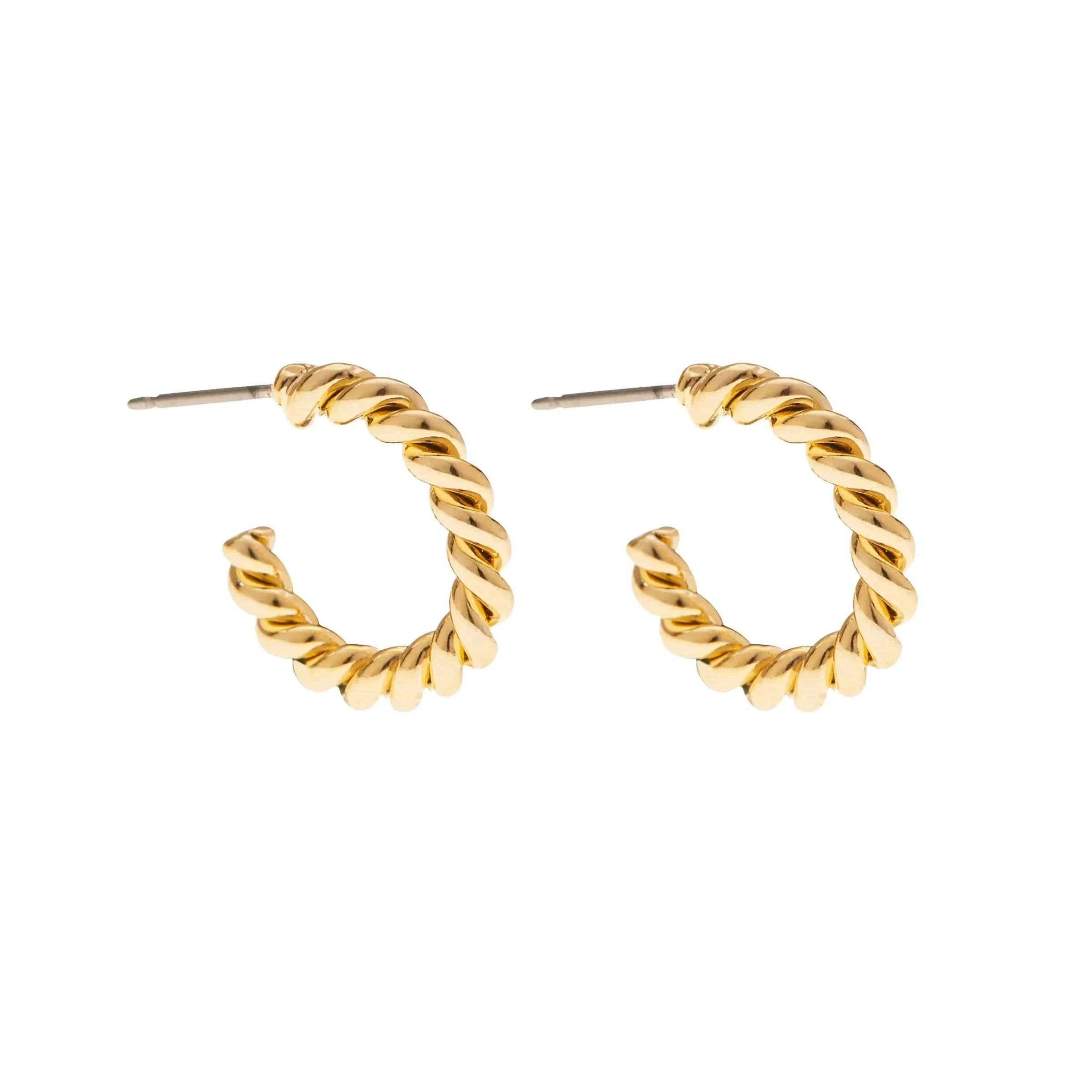 Foxy Originals Jewelry Petit Twisted Hoop available at Lemonberry Boutique Aurora