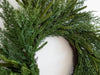 Close-up of Holiday Norfolk and Cypress wreath on wall — Luxe B Co, Lemonberry Aurora