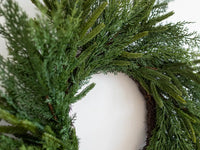 Close-up of Holiday Norfolk and Cypress wreath on wall — Luxe B Co, Lemonberry Aurora