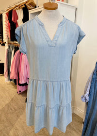 Front view of the Juliet Denim Dress by Melissa Nepton, available at Lemonberry in Aurora, ON