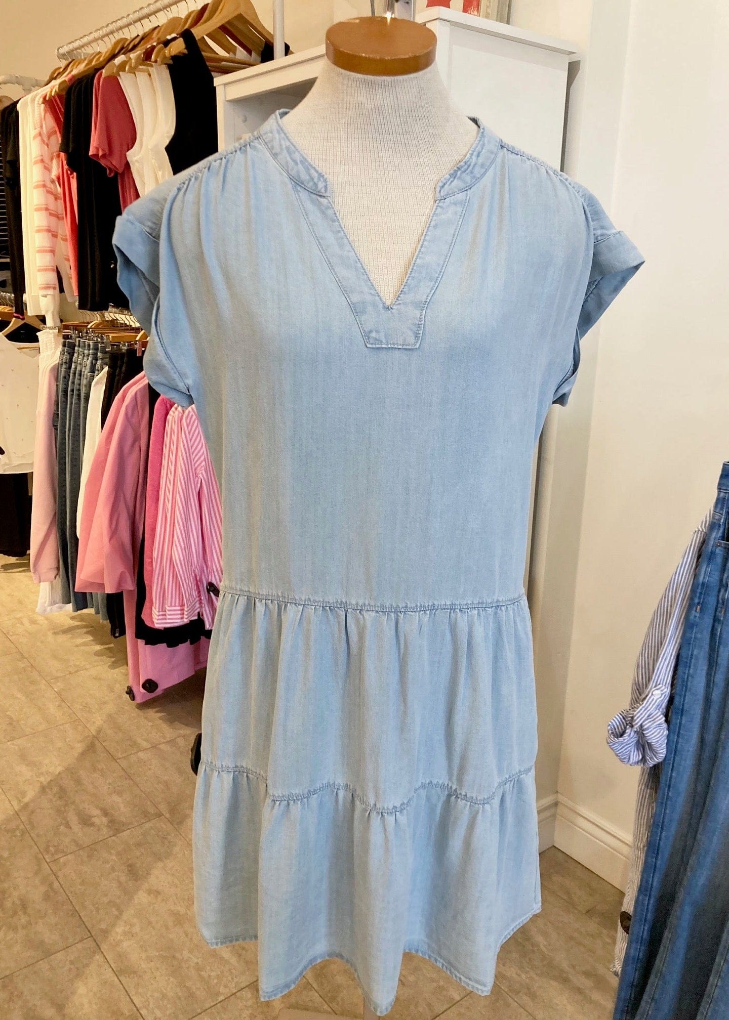 Front view of the Juliet Denim Dress by Melissa Nepton, available at Lemonberry in Aurora, ON