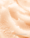 Close-up texture of Three Ships Vanilla Lip Exfoliator – shown in soft-focus macro view.