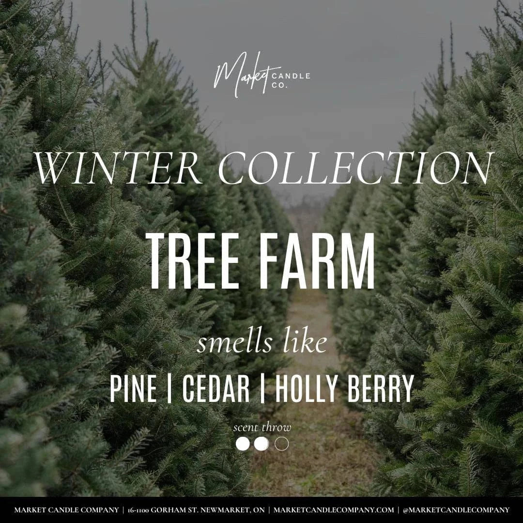 Market Candle Company Accessories Tree Farm Candle by Market Candle Company available at Lemonberry Boutique Aurora