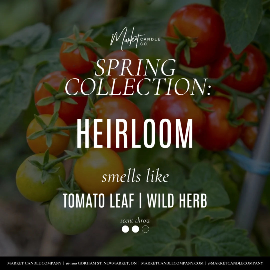 Market Candle Company Heirloom spring collection scent card tomato leaf wild herb Lemonberry Aurora