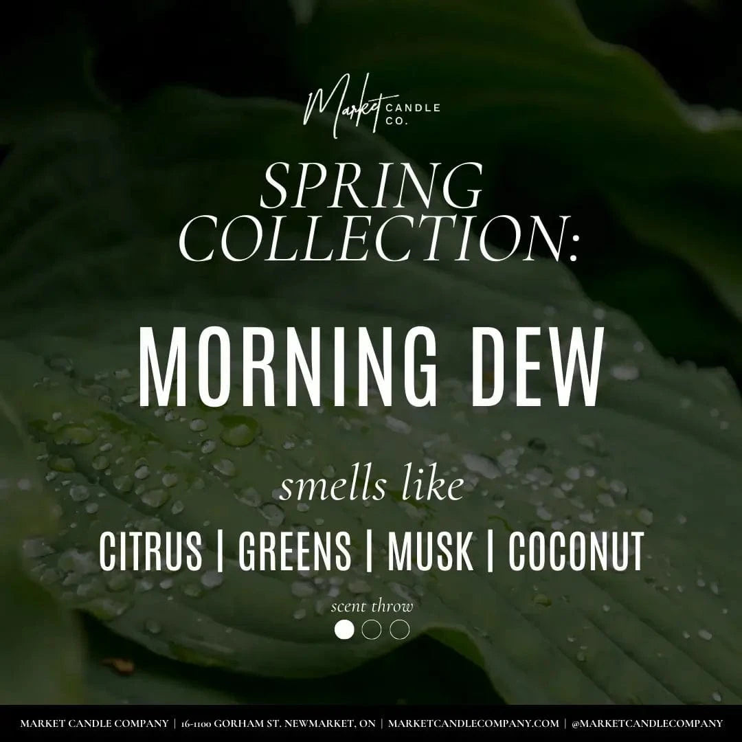 Morning Dew Candle ad card displaying the name and scents.