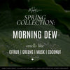 Morning Dew Candle ad card displaying the name and scents.