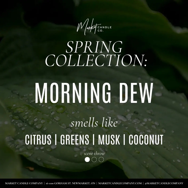 Morning Dew Candle ad card displaying the name and scents.