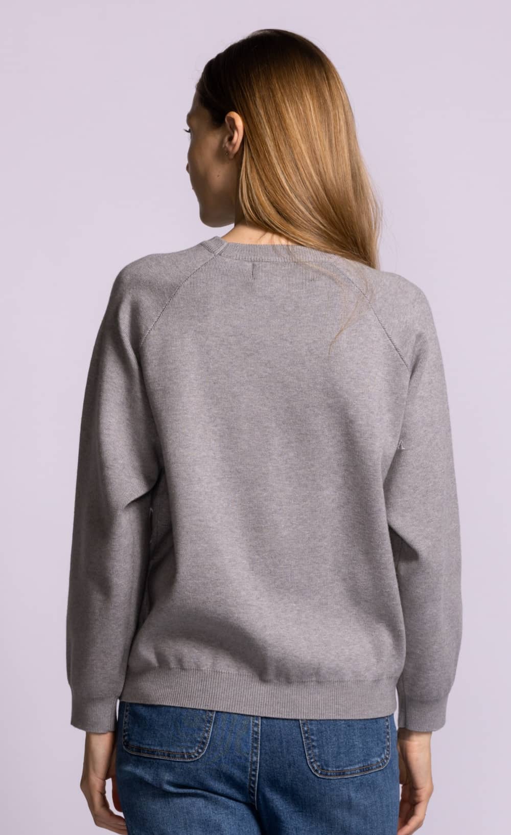 Pink Martini Airplane Mode III sweater grey raglan sleeve knit back view with ribbed hem Lemonberry Aurora