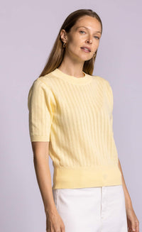 Pink Martini Santa Barbara sweater yellow cotton pointelle knit angled view Lemonberry Aurora