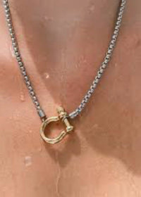 Two tone stainless steel carabiner necklace waterproof chain detail Lemonberry Aurora