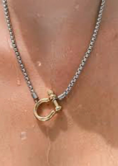 Two tone stainless steel carabiner necklace waterproof chain detail Lemonberry Aurora