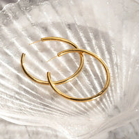 Essential Hoops - Lemonberry.ca